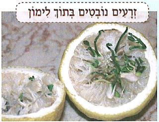 (בספר איור של:)